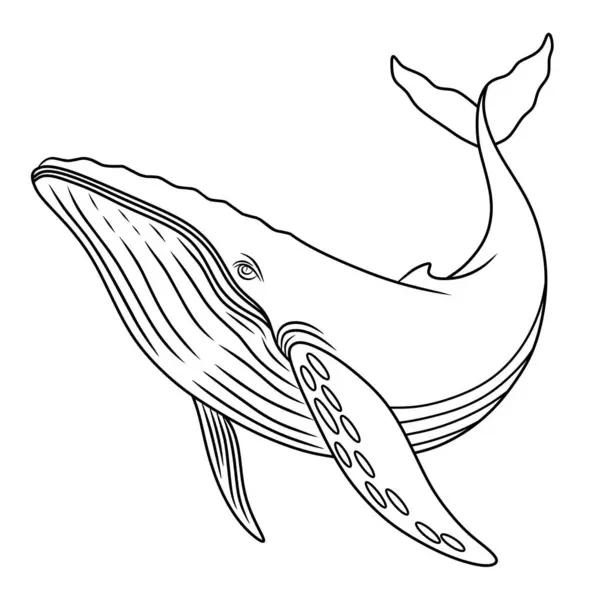 Zarif ve minimalist detaylarla okyanusta yüzen bir balinanın çizgisi. Dekoratif tasarımlar, posterler, çocuk kitapları ve okyanus sanat koleksiyonları için mükemmel..