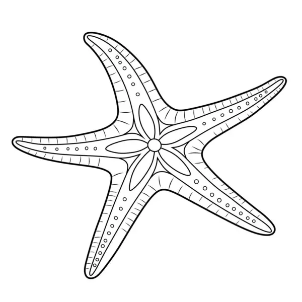 Zarif ve minimalist detaylara sahip bir denizyıldızı çizgisi çizimi. Dekoratif tasarımlar, posterler, çocuk kitapları ve okyanus sanat koleksiyonları için mükemmel..