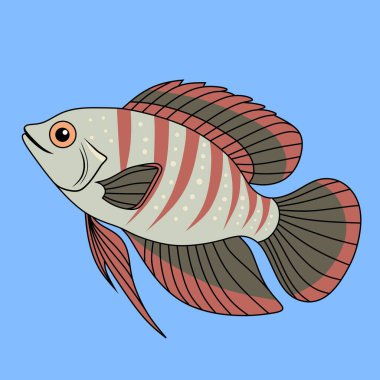 Gourami balığının parlak renkleri ve yüksek detaylarıyla bir tasviri. Eğitici tasarımlar, çocuk kitapları, posterler ve suda yaşam çizimleri koleksiyonları için mükemmel..