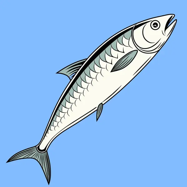 Sardalya balığı eliyle klasik gravür çizimi
