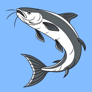 Pangasius balığı. Mavi arkaplanda izole edilmiş vektör illüstrasyon çizgi film düz simgesi.