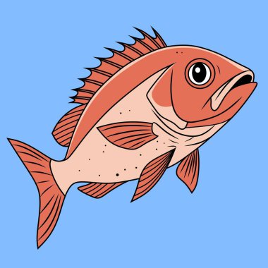 Çizim. Kırmızı levrek logosu. Şirket ya da spor kulübü için balık amblemi.