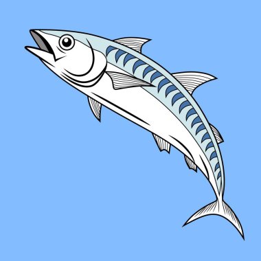 Uskumru balığı arka planda izole edilmiş. Düz bir şekilde taze balık. Deniz ürünleri ambalajı ve pazar illüstrasyonu için taşıyıcı.