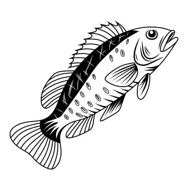 Çizgi sanat tırmanışı levrek balık silueti