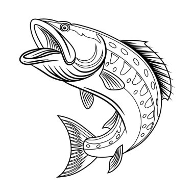 Yılan başlı balık vektörü beyaz arkaplanda izole edildi