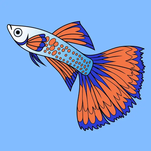 Ayrıntılı Guppy balık vektör çizimi. Mutfak, deniz ve çevre tasarımları için mükemmel. Kolay kişiselleştirme için yüksek kalite vektör. Menüler, ambalaj, eğitim ve web grafikleri için ideal.