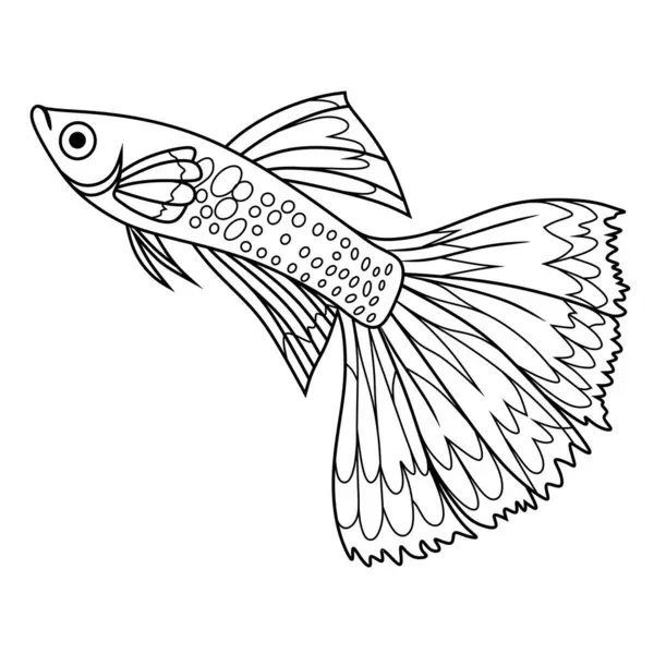 Guppy Balık Vektörü Güzel ve Detaylı Tatlı Su Akvaryumu Balık Sanat Tasarımı