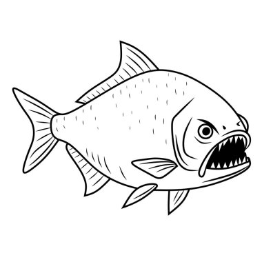 Elle çizilmiş pirana. Siyah ve beyaz. Beyaz arkaplanda izole edilmiş bir balığın vektör çizimi.
