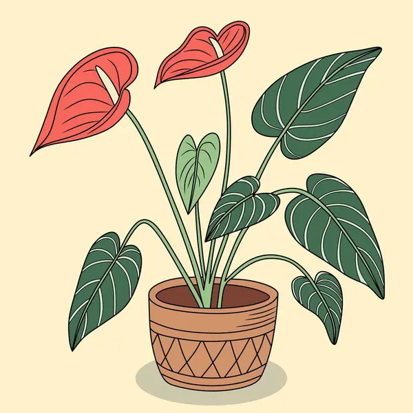 Sarı küreleri ve büyük yeşil yaprakları olan canlı kırmızı çiçekleri olan bir anthurium bitkisinin tasviri