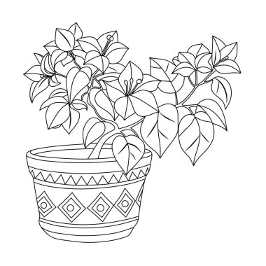 Bougainvillea çiçeği beyaz arkaplanda düz çizgili sanat çizgisi çizimi