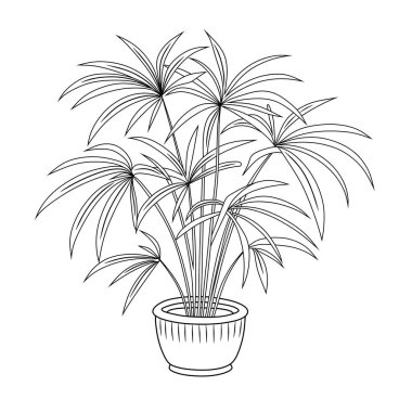 Siluet tropikal palmiye papirüs siyah izole üzerinde beyaz arka plan bırakır.