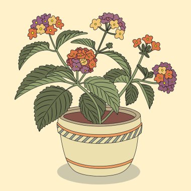 Lantana Çiçek Çiçeği Botanik Çizim Çizgisi Sanat Vektörü İllüstrasyonu