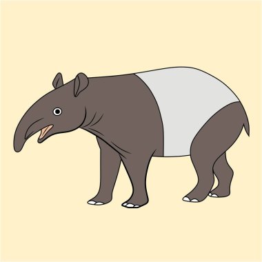 Sevimli dost canlısı vahşi hayvan, siyah beyaz tapir.