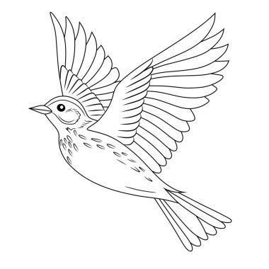 Bir tarla kuşunun çarpıcı siyah beyaz vektör çizimi