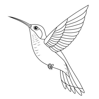 Uçan sinekkuşu, karalama tarzı çizilmiş çizim.