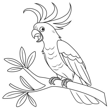 Ayrıntılı papağan vektör illüstrasyonu, siyah ve beyaz tasarım