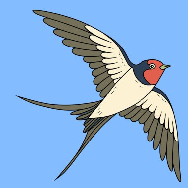 Canlı Renkli Kırlangıç Kuş Çizimi Tasarım veya Sanat Yazısı İçin Mükemmel