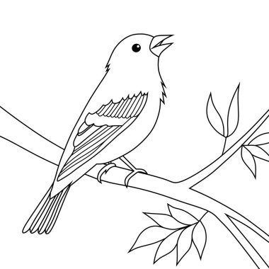 Bir ispinozun yapraklı bir dalda şarkı söyleme sanatı. Boyama sayfaları, doğa eğitimi, kuş temalı tasarımlar veya çocuk resimleme projeleri için mükemmel.