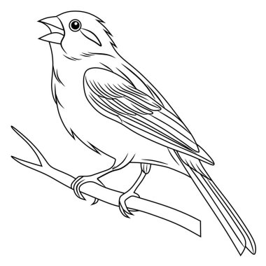 Bir dalın üzerine tüneyip şarkı söyleyen bir kanarya çizgisi sanatı. Boyama sayfaları, kuş temalı sanat eserleri, eğitim materyalleri ve çocuk yaratıcı aktiviteler için mükemmel..
