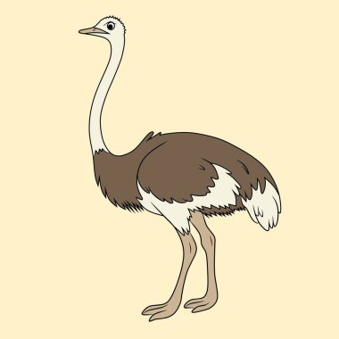 Tatlı çizgi film tarzı devekuşu kumlu zeminde dikiliyor. Eğitim materyalleri, yaban hayatı içeriği veya hayvan temalı grafik projeleri için harika.