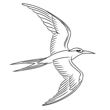 Düzenlenebilir darbelerle uçan bir güvercin çizimi