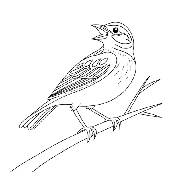 Lark Kuşu Tam Gövde Profili Ayrıntılı Vintage Siyah ve Beyaz Özet Çizim Sanatı İzole Nesne Çizimi