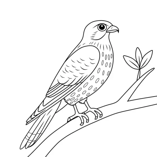 Song Thrush çizgi sanat çizimi mürekkep çizim vektör el çizimi resimleme beyaz arkaplan