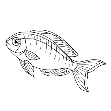 Akmakta olan bir nehirde yüzen büyük renkli bir alabalığın doğal güzelliğini ve su ortamını gösteren detaylı bir yan görünüş çizimi.