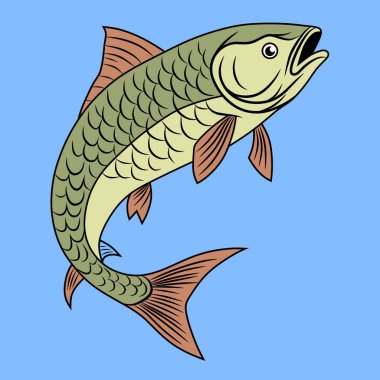 Detaylı pulları ve yüzgeçleri olan bir mahkahin balığı tasviri. Gerçekçi yorumlamaya ve parlak renklere odaklan.