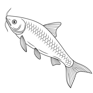 Swai balığının temiz siyah beyaz çizgileri, renklendirme sayfaları, eğitici kullanım veya su temalı tasarımlar için mükemmel..