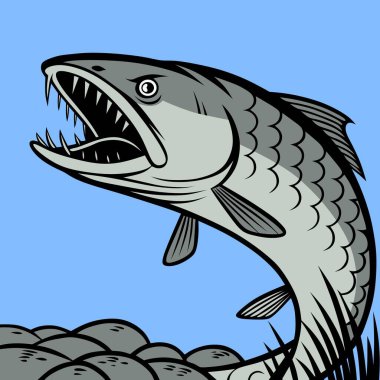 Pürüzsüz yüzgeçleri ve parlak pulları olan, mavi bir zemin üzerine kurulmuş dev bir yılan başlı balığın ayrıntılı çizimi. Deniz ürünleri ve deniz hayatı tasarımları için mükemmel..