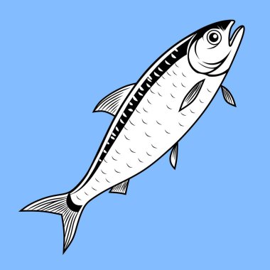 Pürüzsüz yüzgeçleri ve parlak pulları olan mavi arka planda bir ringa balığının ayrıntılı çizimi. Deniz ürünleri ve deniz hayatı tasarımları için mükemmel..