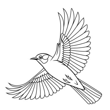 Bulbul 'un çizgi sanatı (Cucak Jenggot) bulutların üzerinde kanatları açık, boyama kitapları, kuş severler ve eğitici doğa materyalleri için mükemmeldir..