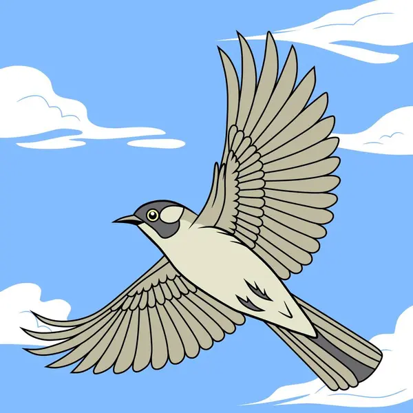 Zarif bir Sakallı Bulbul (Cucak Jenggot), doğa temalı illüstrasyonlar veya kuş tasarımı koleksiyonları için ideal, tamamen yayılmış kanatlarıyla açık mavi gökyüzünde uçar..