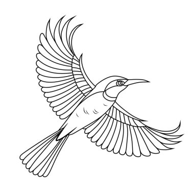 Kanatları açık bir şekilde uçan kahverengi boğazlı güneş kuşunun stilize çizgisi. Boyama sayfaları, dövme tasarımları ya da kuş temalı çizimler için harika..