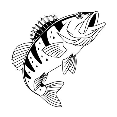 Siyah beyaz çizgili, kalın çizgili ve ayrıntılı yüzgeçli bir tavus kuşu levreği sanatı. Boyama sayfaları, dövmeler ya da deniz temalı grafik tasarımlar için mükemmel..