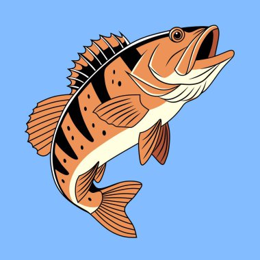 Açık mavi arka planda izole edilmiş kalın çizgili ve ayrıntılı yüzgeçli tavus kuşu levreği balığının renkli vektör çizimi. Deniz temalı tasarımlar için ideal.