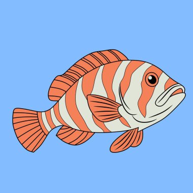 Açık mavi arka planda izole edilmiş kalın çizgili ve ayrıntılı yüzgeçleri olan bir kaplan balık grubunun renkli vektör çizimi. Deniz temalı tasarımlar için ideal.