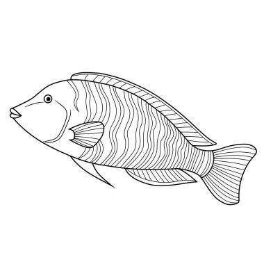 Dalgalı çizgili Napolyon Balığı 'nın siyah beyaz çizgili sanatı. Boyama sayfaları, dövmeler veya deniz temalı sanat eserleri için ideal.