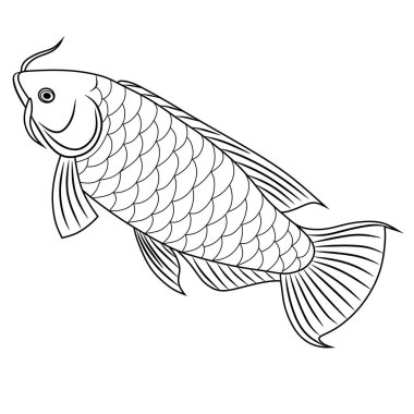 Zarif yüzgeçleri ve pulları olan bir arowana balığının detaylı siyah beyaz çizgisi. Boyama sayfaları, dövmeler ya da Asyalı eserler için mükemmel..