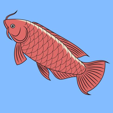 Ayrıntılı pulları ve yüzgeçleriyle cesur bir vektör stili olan zarif kırmızı arowana balığı. Asya temalı sanat, tasarım veya şanslı balık sembolizmi için ideal.