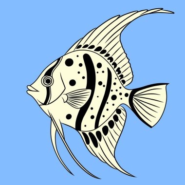 Mavi arka planda kalın desenleri ve akan yüzgeçleri olan bir Salema balığının stilize edilmiş çizgisi. Deniz temalı tasarımlar ve çizimler için harika..