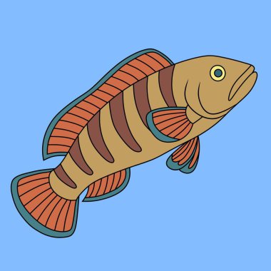 Çizgili vücut detaylarıyla Channa balığının şirin bir karikatür çizimi. Deniz temalı tasarımlar, çocuk kitapları veya eğitim içeriği için mükemmel..