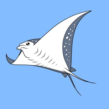 Benekli kanat uçları ve uzun kuyruklu bir manta vatoz vatozunun stilize edilmiş vektör çizimi mavi bir arkaplanda zarafetle süzülüyor. Okyanus temalı tasarımlar ve deniz eğitimi için mükemmel..