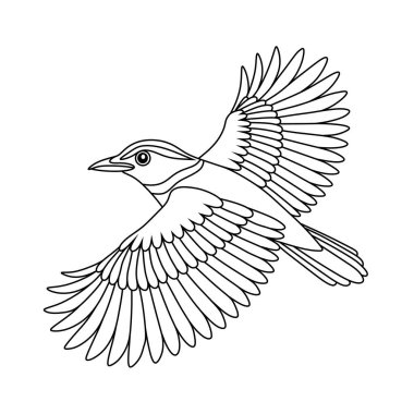 Uçan Siyah Taç Giyen Pitta kuşunun zarif çizgisi. Basit, temiz çizimler boyama kitapları, vahşi yaşam tasarımları veya eğitim materyalleri için mükemmel..