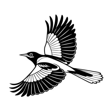 Uçuşun ortasında kanatlarını tamamen açmış bir kuşun yer aldığı son derece detaylı siyah ve beyaz bir illüstrasyon. Karmaşık desenler ve kalın tek renkli renkler çarpıcı bir görsel etki yaratır..