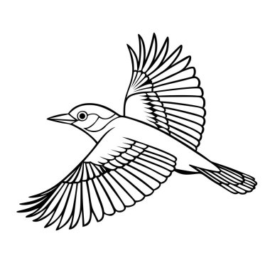 Kanatları geniş ve ayrıntılı çizgili uçan bir kuşun güzel monokrom çizimi. Renklendirme, doğa temalı sanat eserleri ve yaratıcı tasarım projeleri için mükemmel..