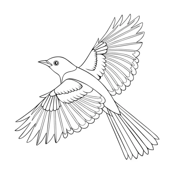 Minivet kuşunun zarif bir çizimi. Detaylı tüyler ve zarif bir kanat açılımı sergiliyor. Boyama sayfaları veya eğitim materyalleri için mükemmel.