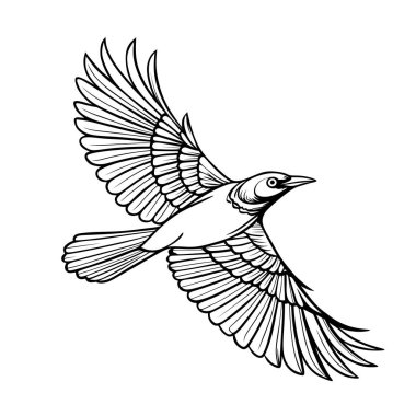 Kanatları açık bir şekilde süzülen bir sığırcık kuşunun zarif çizimi. Boyama sayfaları, kuş çizimleri ve doğa temalı sanat eserleri için mükemmel..