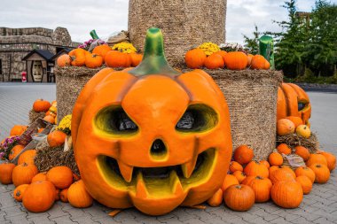 Cadılar Bayramı balkabakları, Cadılar Bayramı gösterisi, Cadılar Bayramı